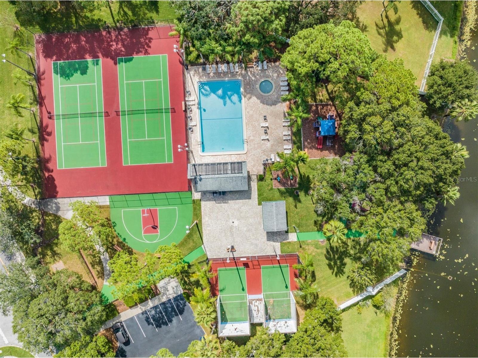 124 Loblolly Court #H Oldsmar FL 34677 TB8481313 image40