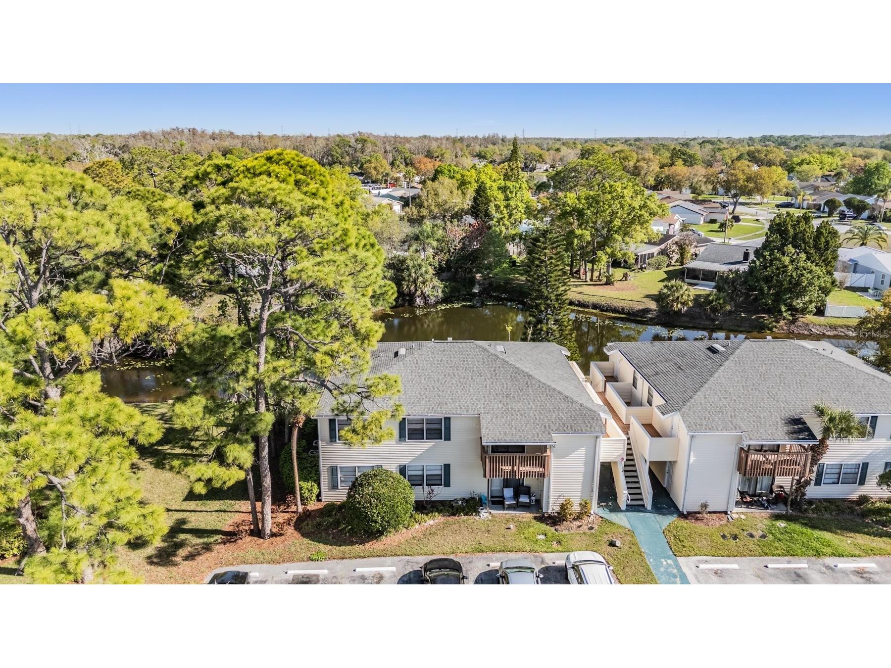 124 Loblolly Court #H Oldsmar FL 34677 TB8481313 image6