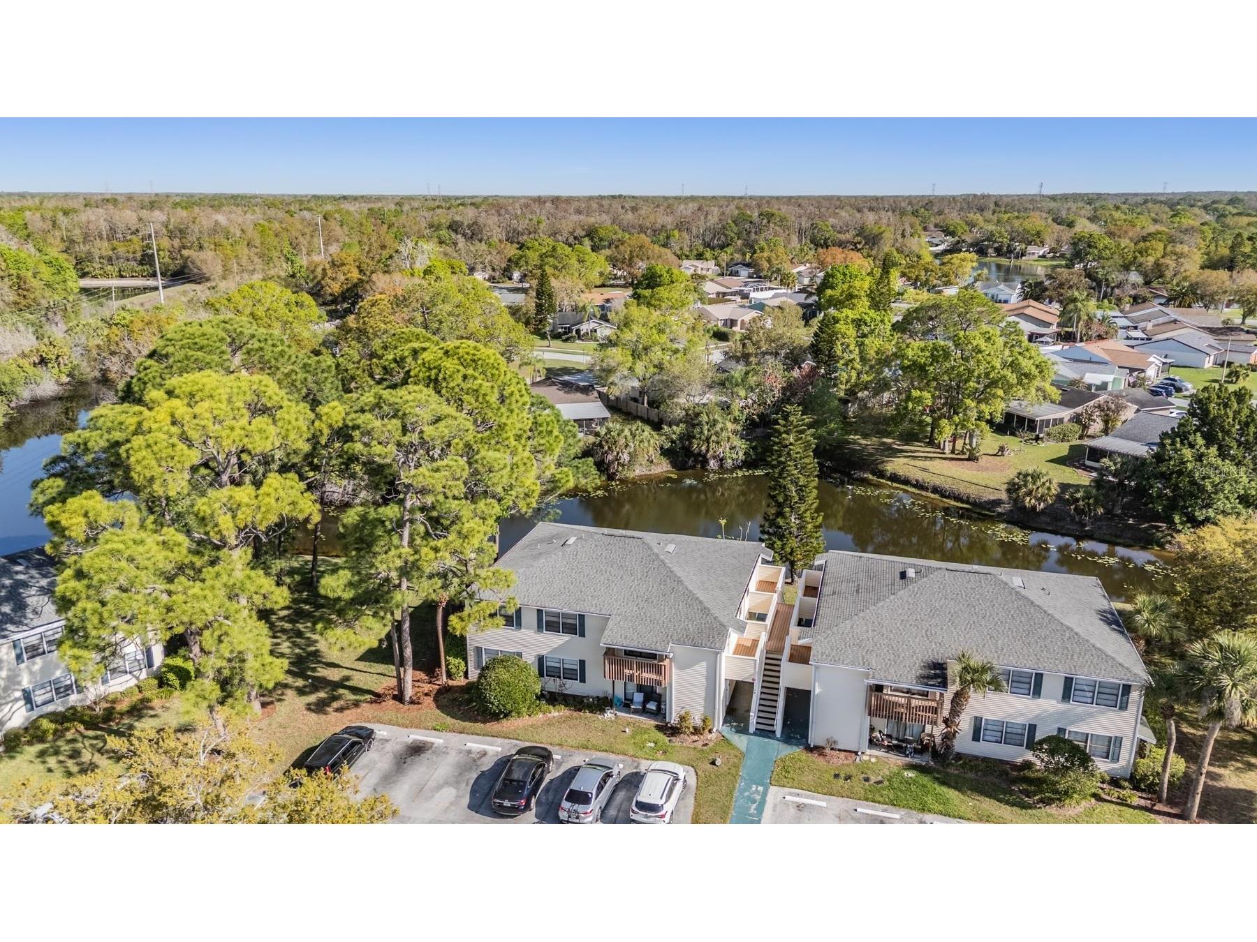 124 Loblolly Court #H Oldsmar FL 34677 TB8481313 image7