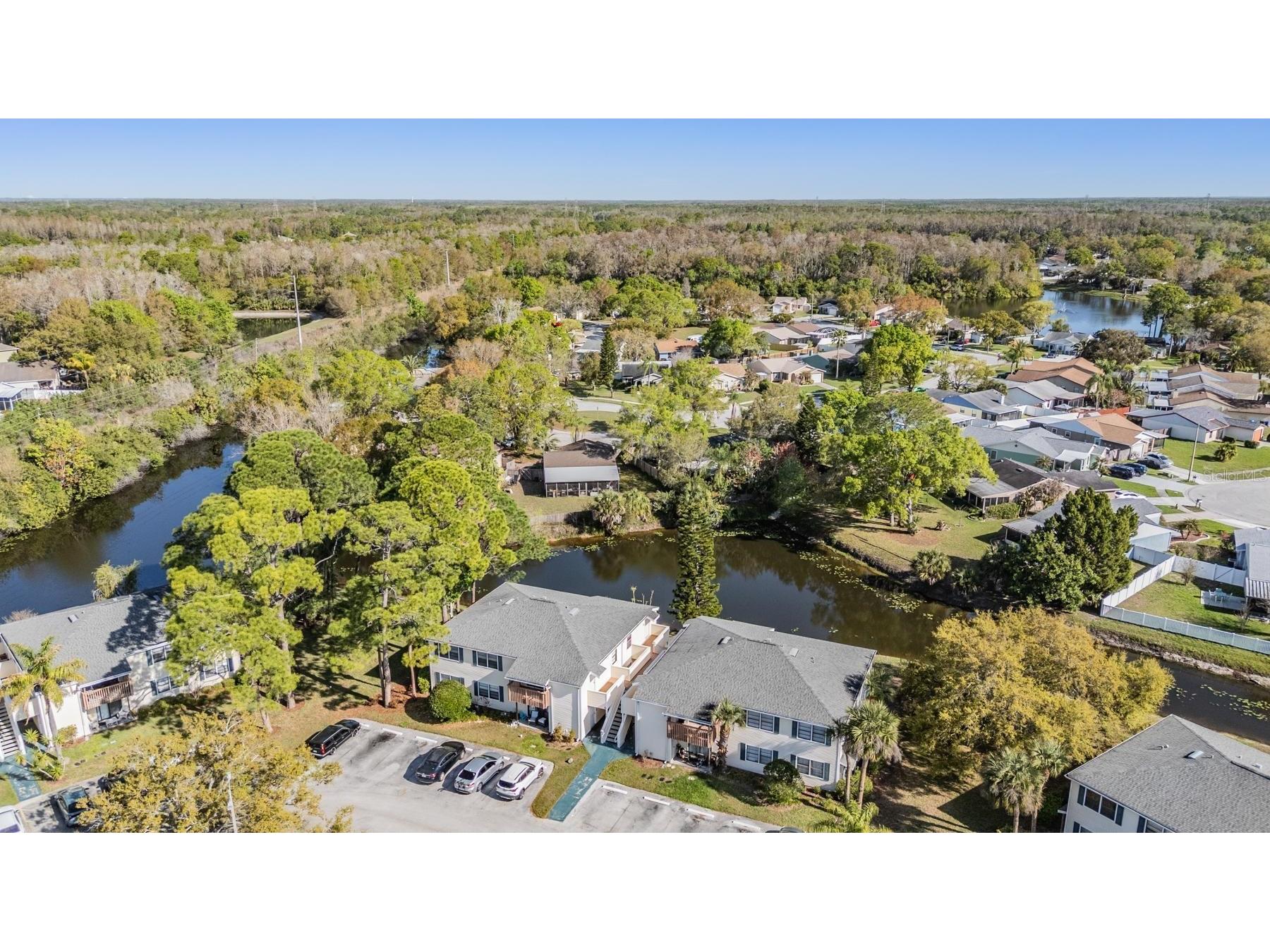 124 Loblolly Court #H Oldsmar FL 34677 TB8481313 image8