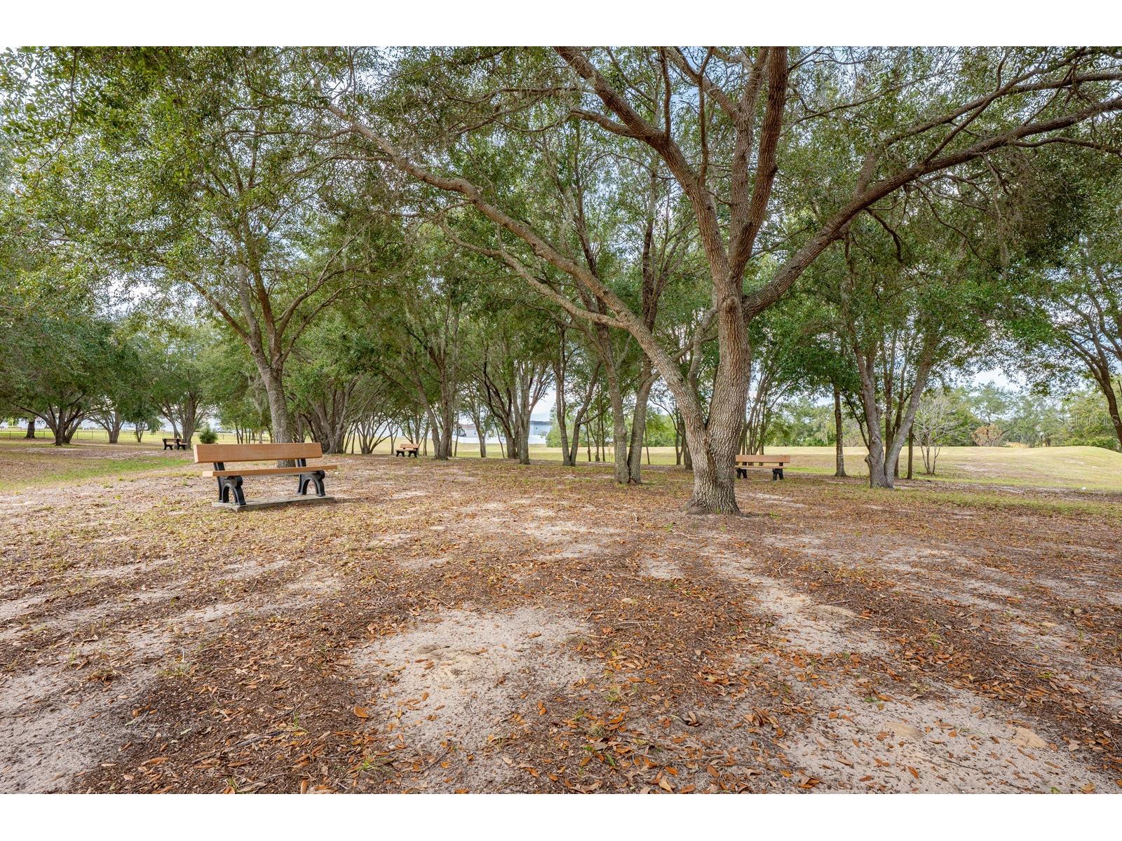 124 Maravilla Way Groveland FL 34736 O6370899 image31