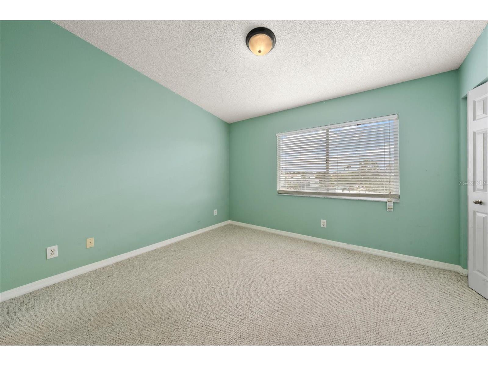 124 Marcdale Boulevard Indian Rocks Beach FL 33785 TB8495027 image12