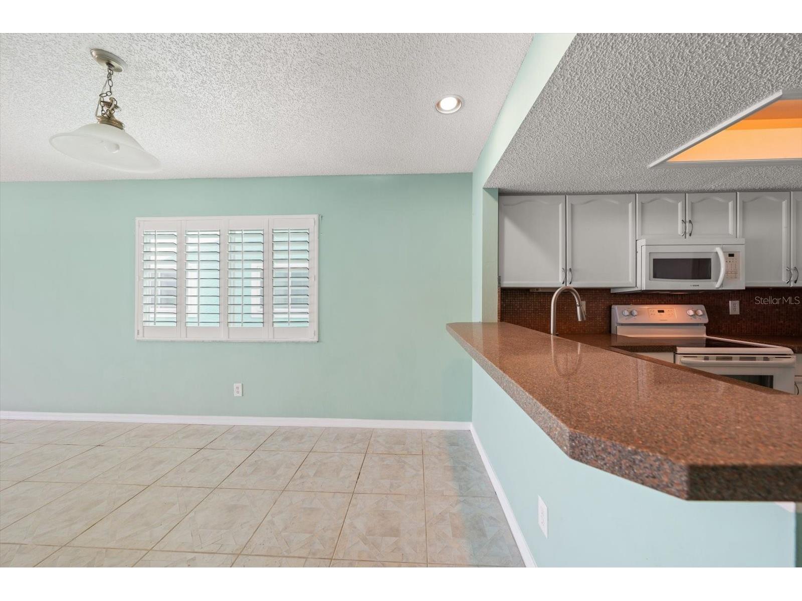 124 Marcdale Boulevard Indian Rocks Beach FL 33785 TB8495027 image9
