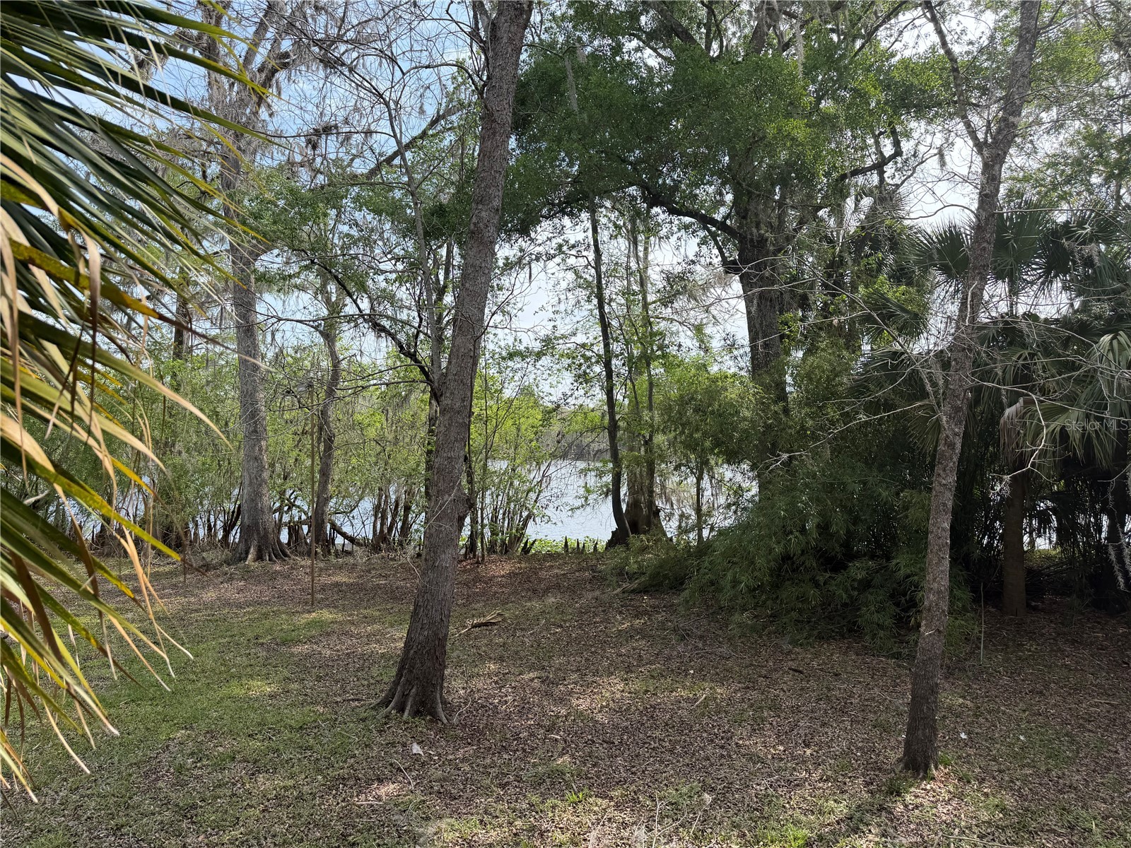124 NE 824th Street Old Town FL 32680 - SUWANNEE RIVER W7884556 image48