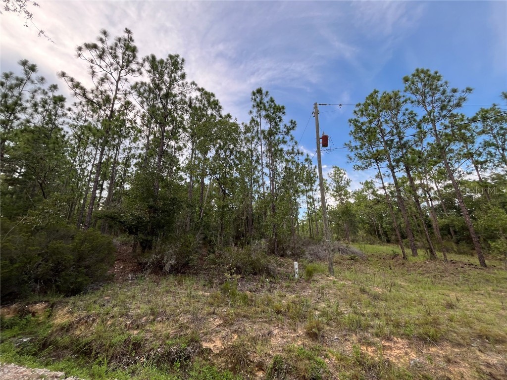 124 New York Avenue Interlachen FL 32148 OK225314 image1