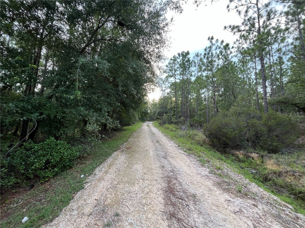 124 New York Avenue Interlachen FL 32148 OK225314 image2