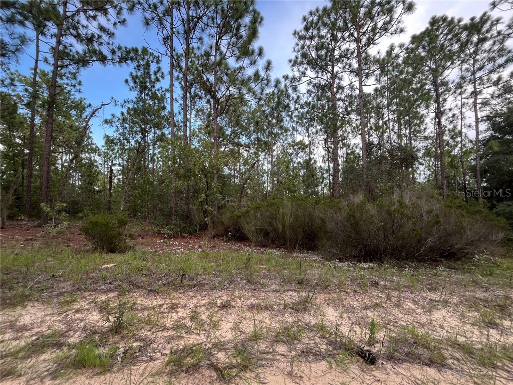 124 New York Avenue Interlachen FL 32148 OK225314 image8