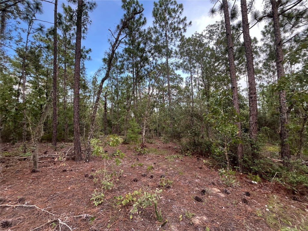 124 New York Avenue Interlachen FL 32148 OK225314 image9