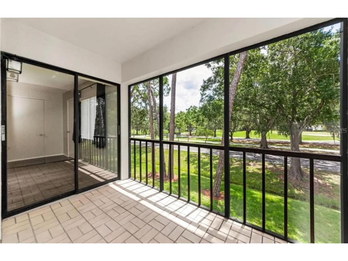 124 Nina Way #24 Oldsmar FL 34677 O6359832 image15