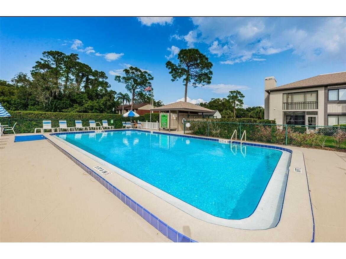 124 Nina Way #24 Oldsmar FL 34677 O6359832 image16