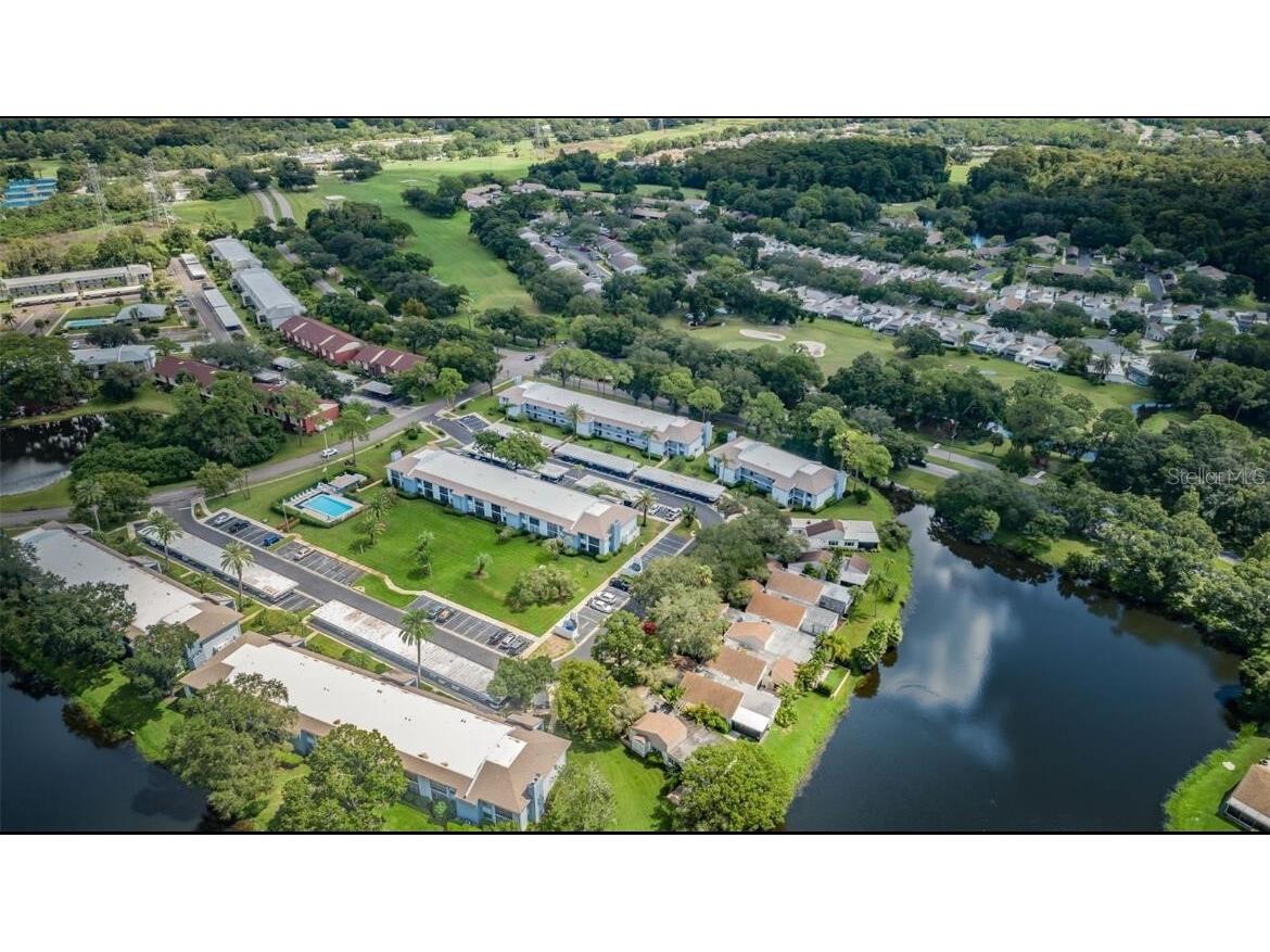 124 Nina Way #24 Oldsmar FL 34677 O6359832 image17