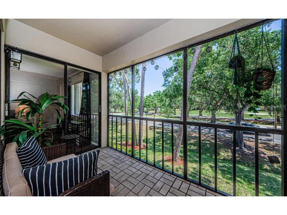 124 Nina Way #24 Oldsmar FL 34677 O6359832 image4