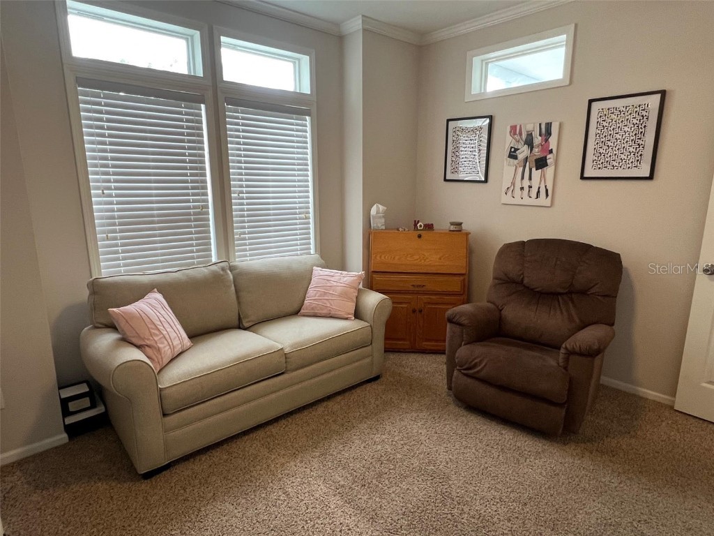 124 Pindo Palm Street W Largo FL 33770 TB8460723 image13