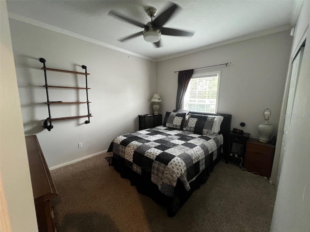 124 Pindo Palm Street W Largo FL 33770 TB8460723 image19