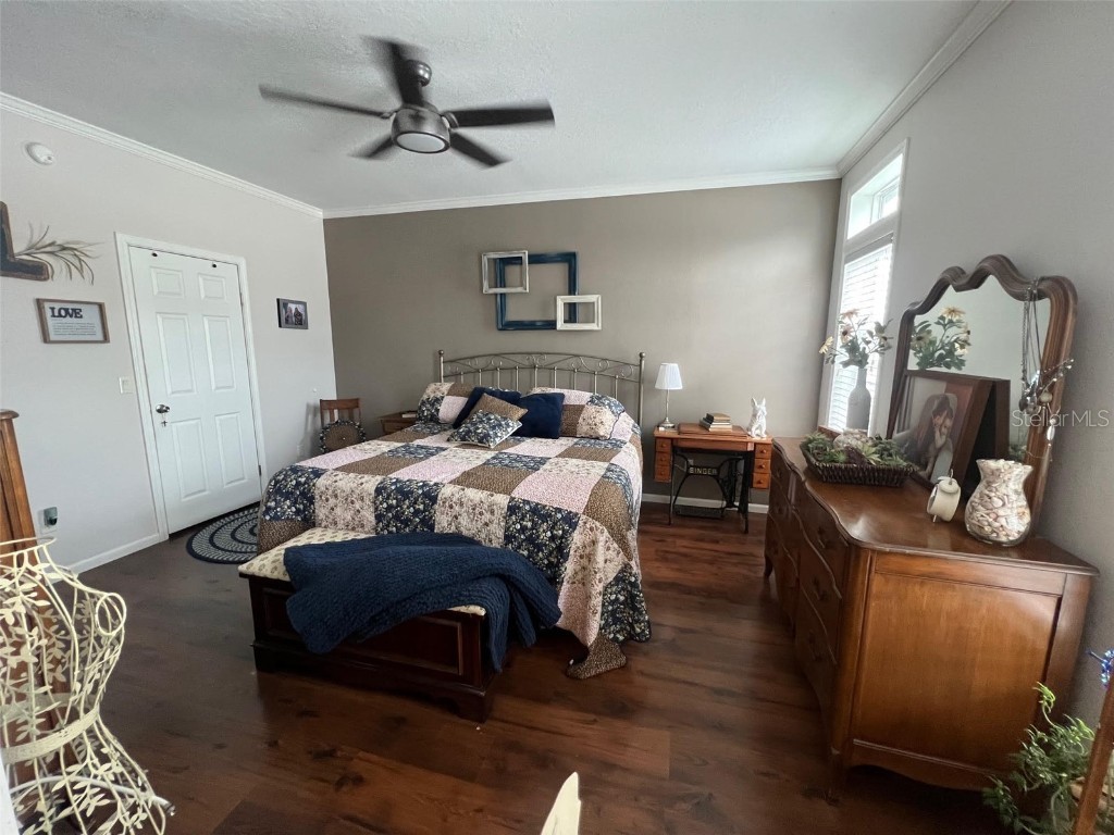 124 Pindo Palm Street W Largo FL 33770 TB8460723 image23