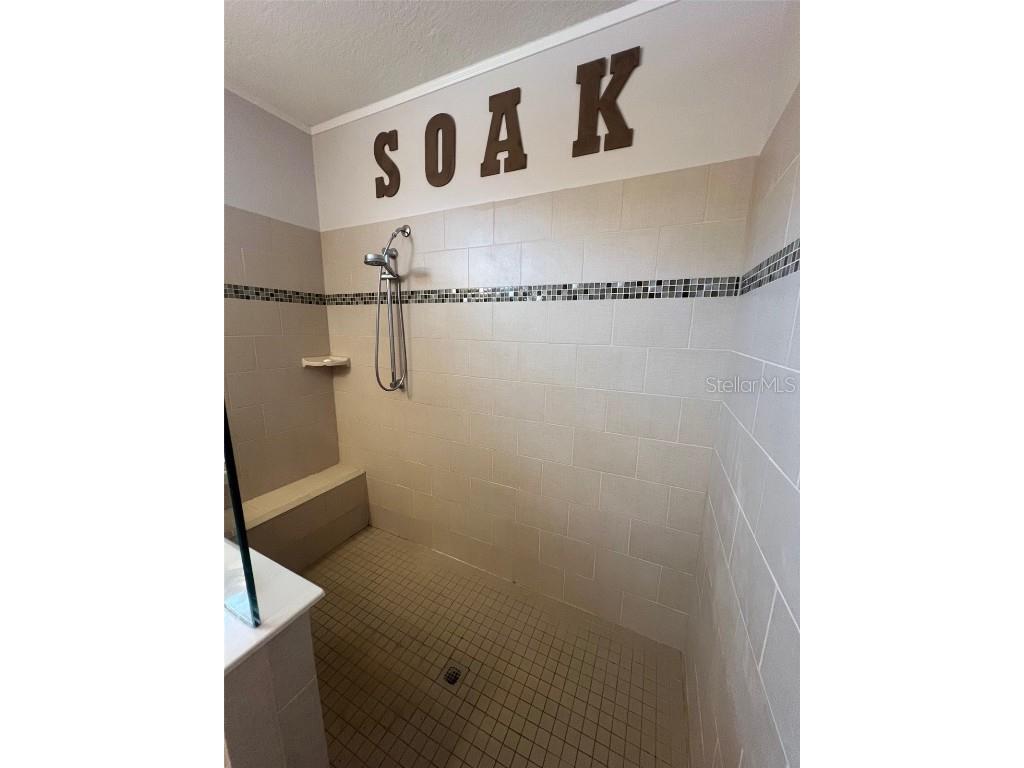 124 Pindo Palm Street W Largo FL 33770 TB8460723 image29