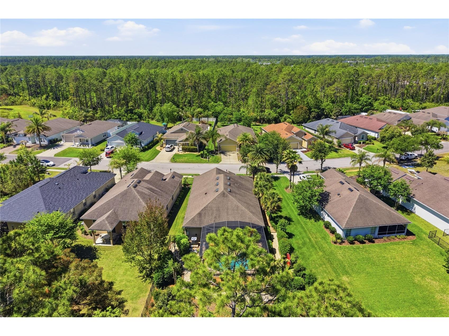 124 S Hummingbird Place Palm Coast FL 32164 FC317748 image34