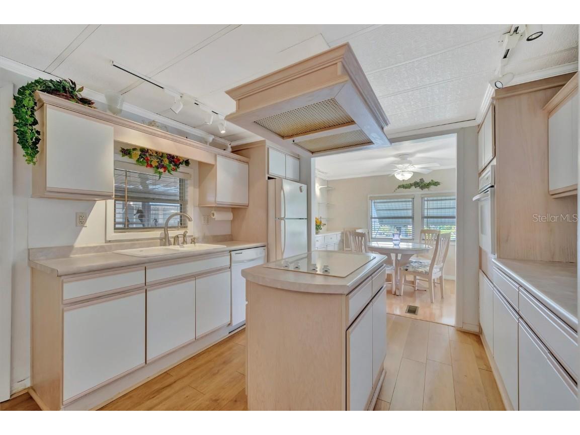 124 Saint Pierres Way Apollo Beach FL 33572 TB8401036 image9