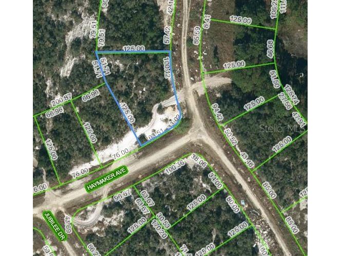 124 Summer Oak Court Lake Placid FL 33852 OM623701 image1