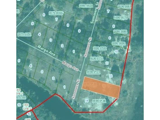 124 Summers Street Interlachen FL 32148 OM626909 image3