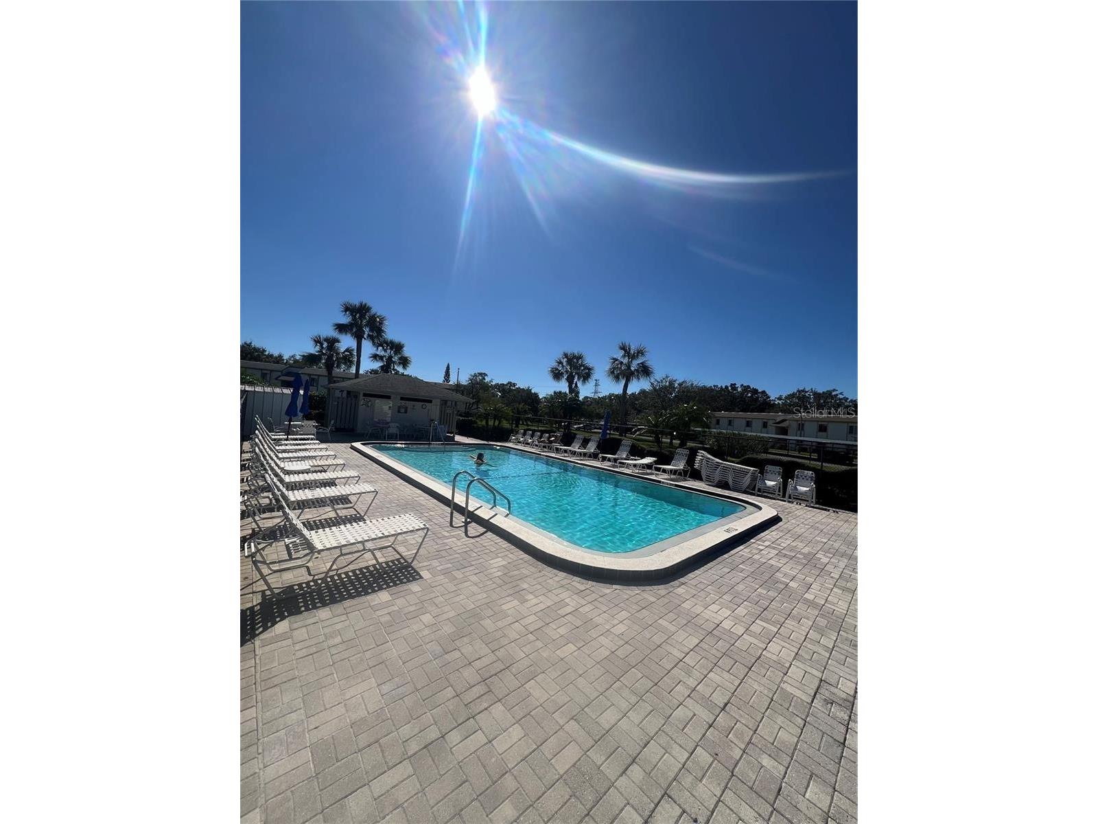 124 W Cypress Court Oldsmar FL 34677 TB8516388 image23