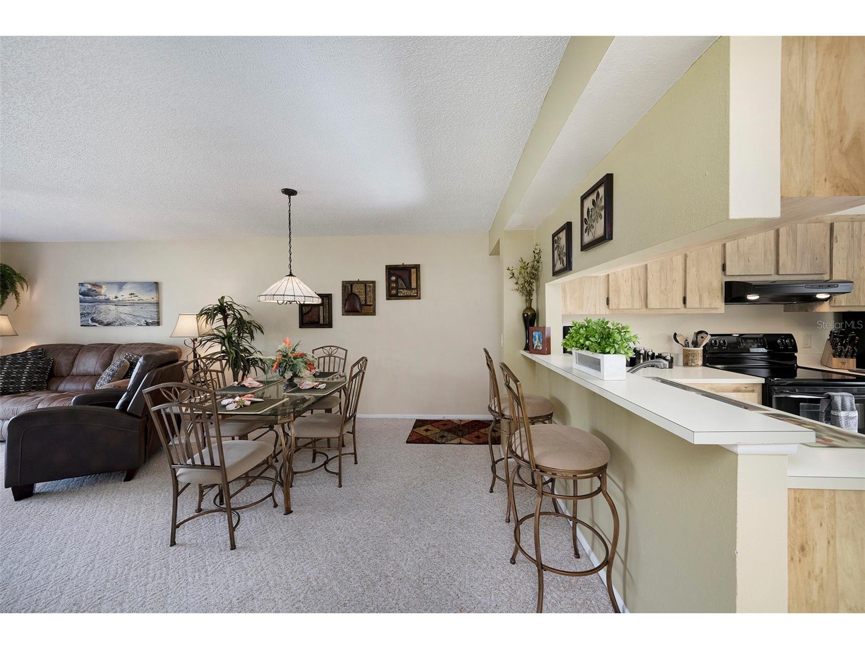 124 W Cypress Court Oldsmar FL 34677 TB8516388 image6