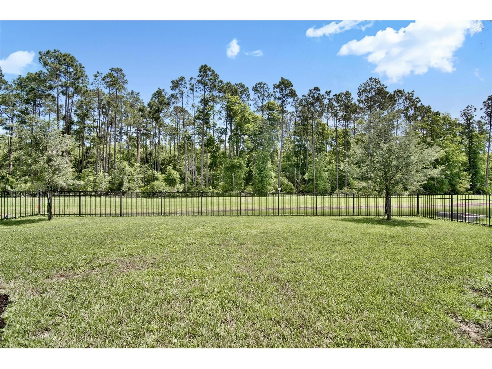 124 Wood Stork Lane Palm Coast FL 32164 FC318104 image62