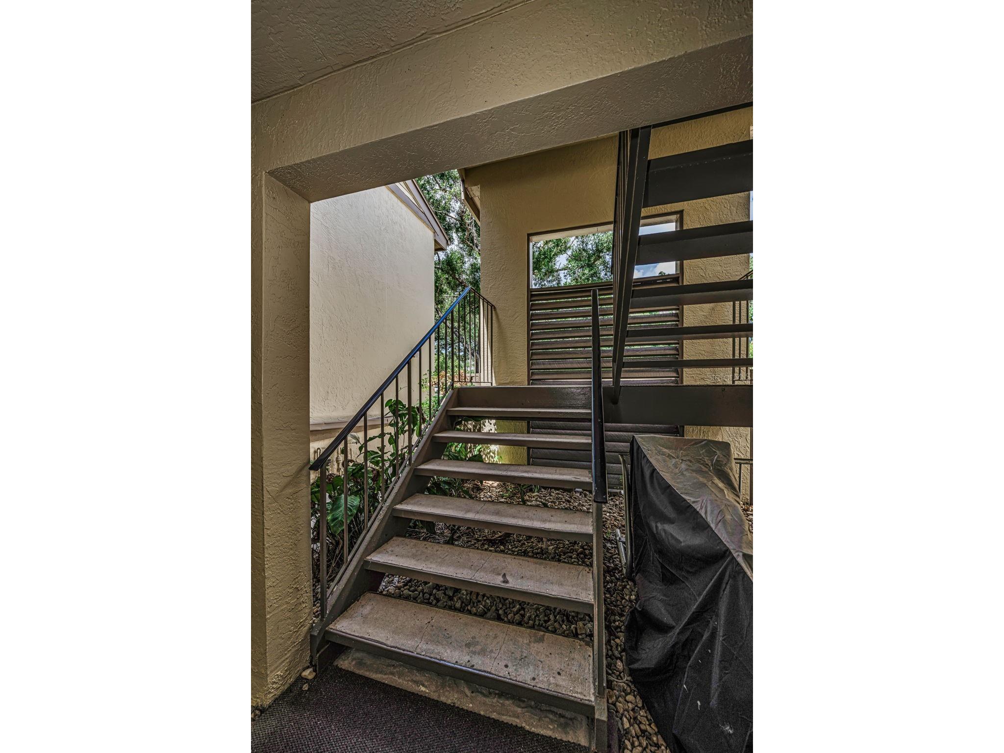 124 Woodlake Wynde #0 Oldsmar FL 34677 TB8523772 image3