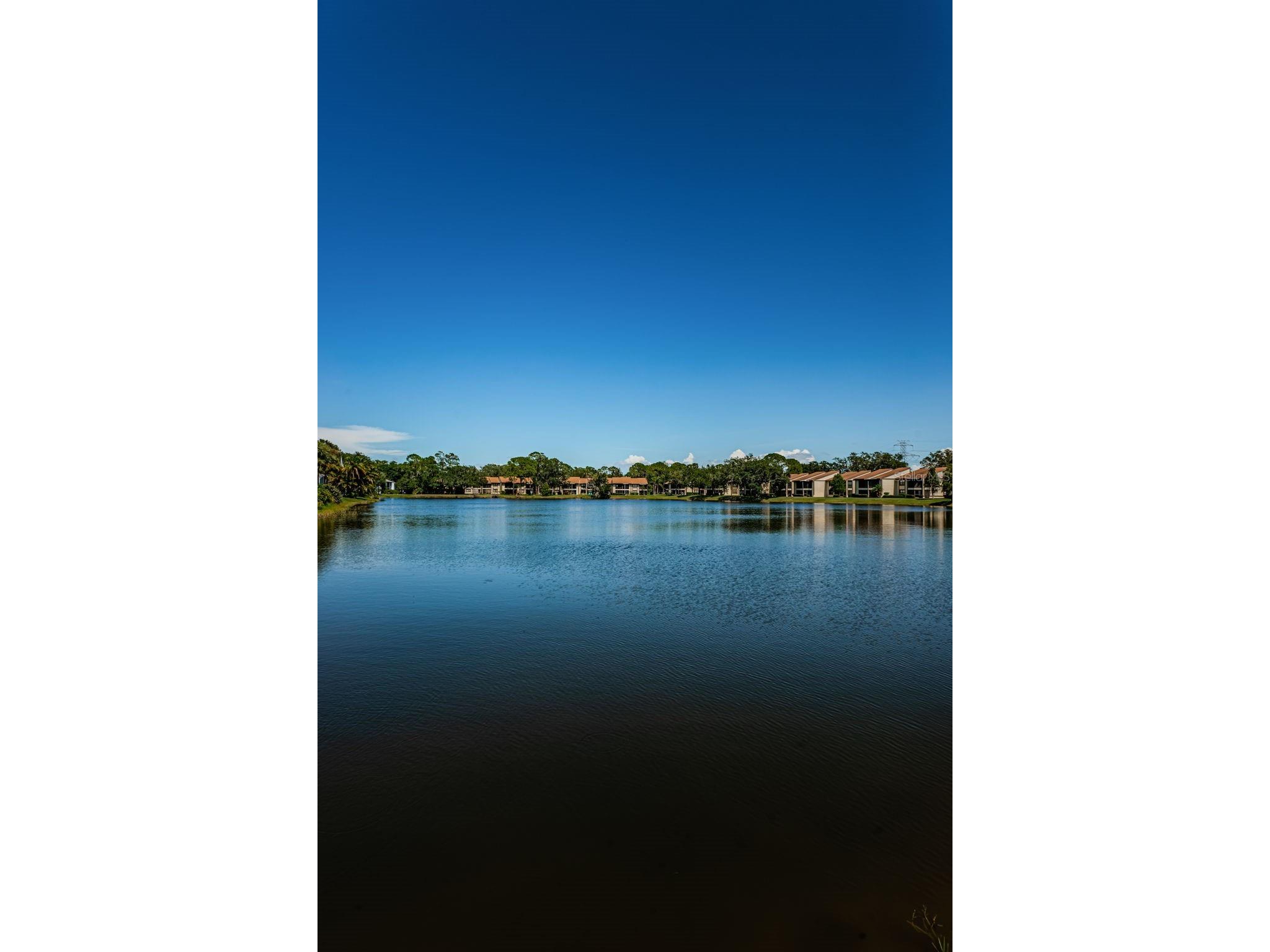 124 Woodlake Wynde #0 Oldsmar FL 34677 TB8523772 image31