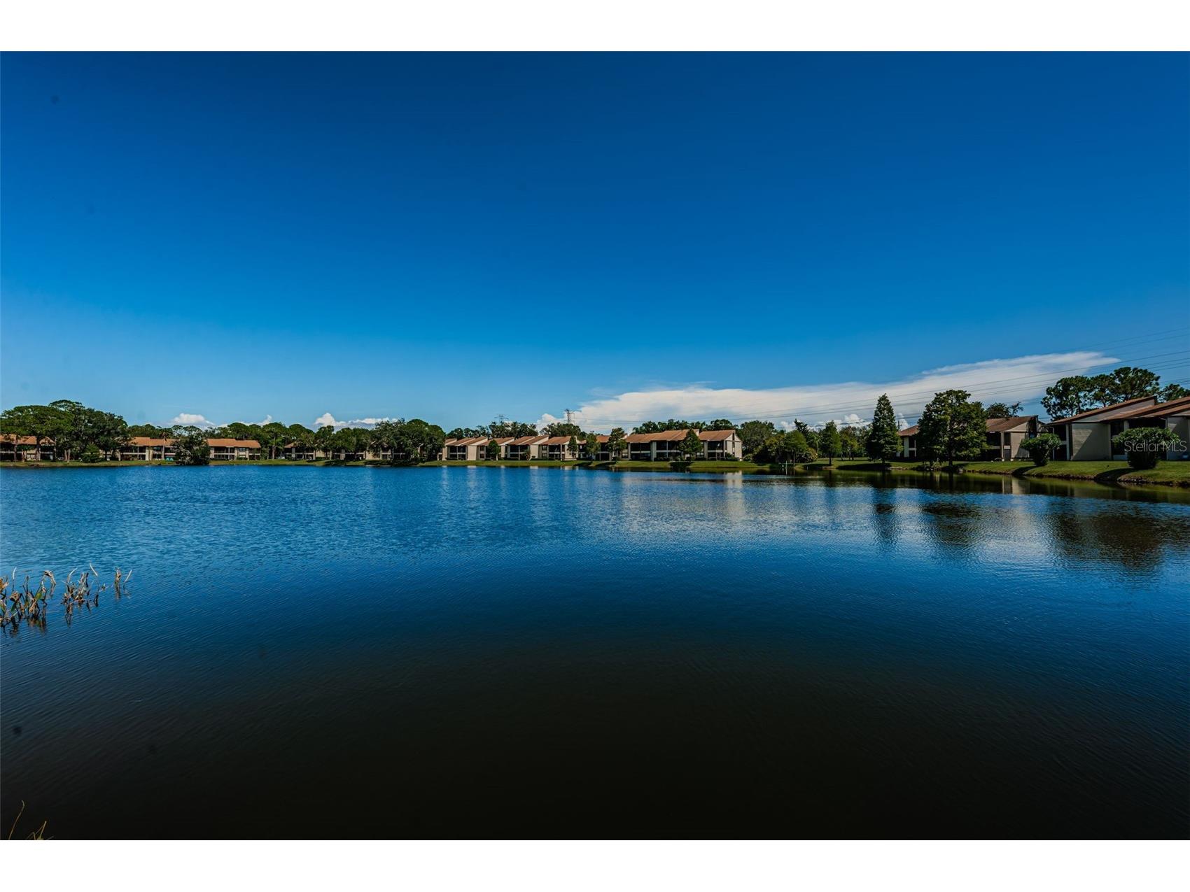 124 Woodlake Wynde #0 Oldsmar FL 34677 TB8523772 image32