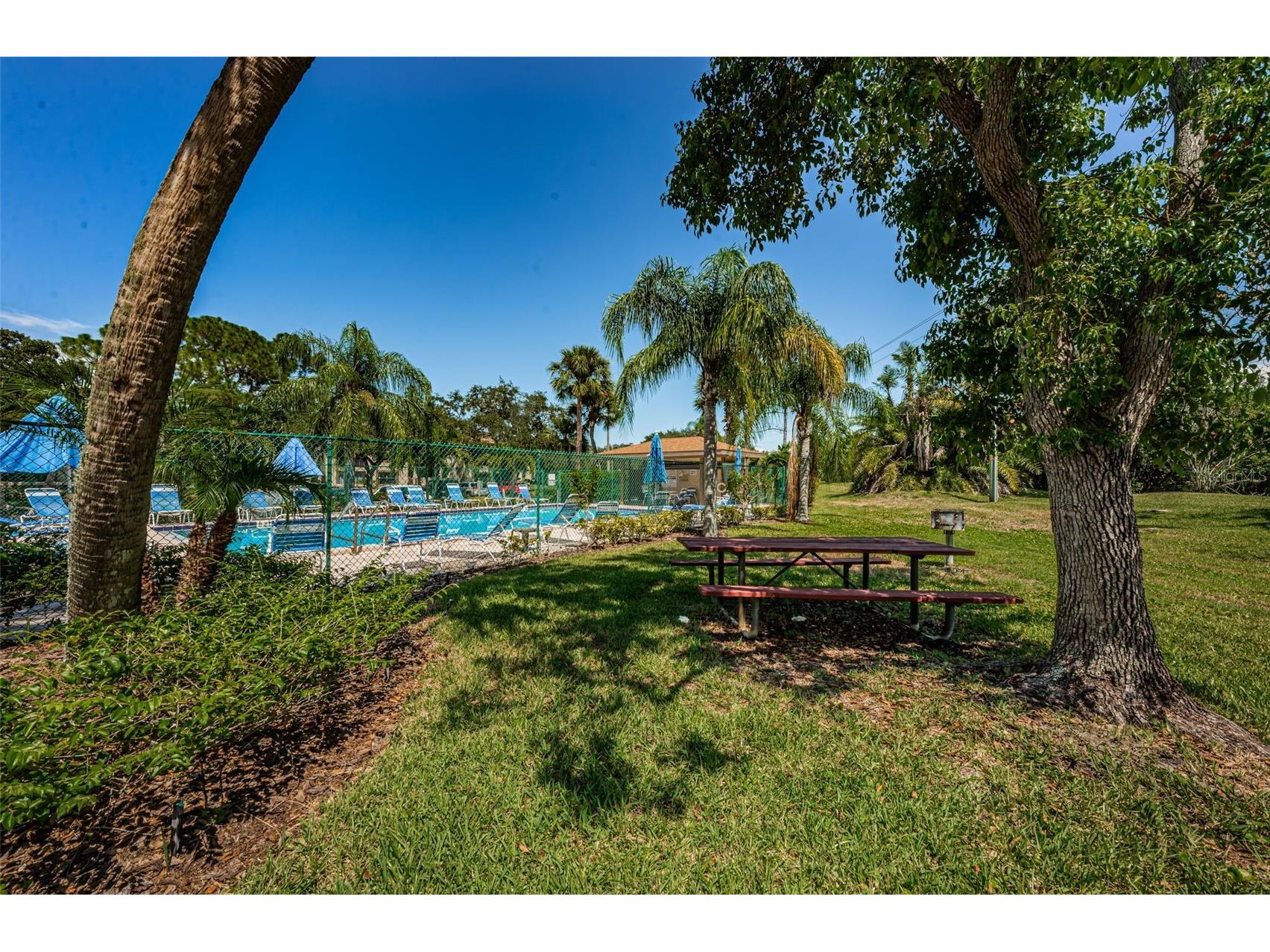 124 Woodlake Wynde #0 Oldsmar FL 34677 TB8523772 image33