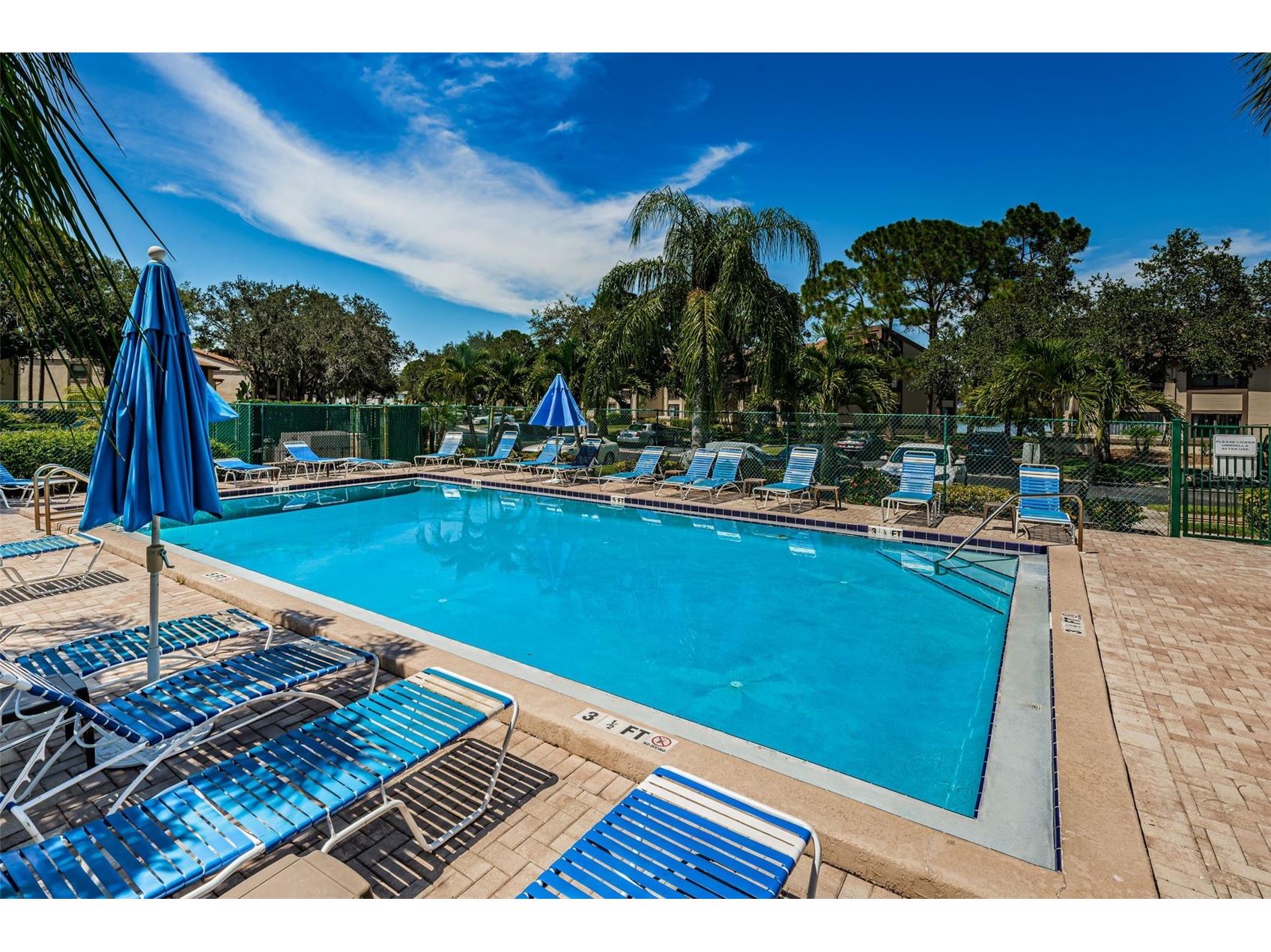 124 Woodlake Wynde #0 Oldsmar FL 34677 TB8523772 image34