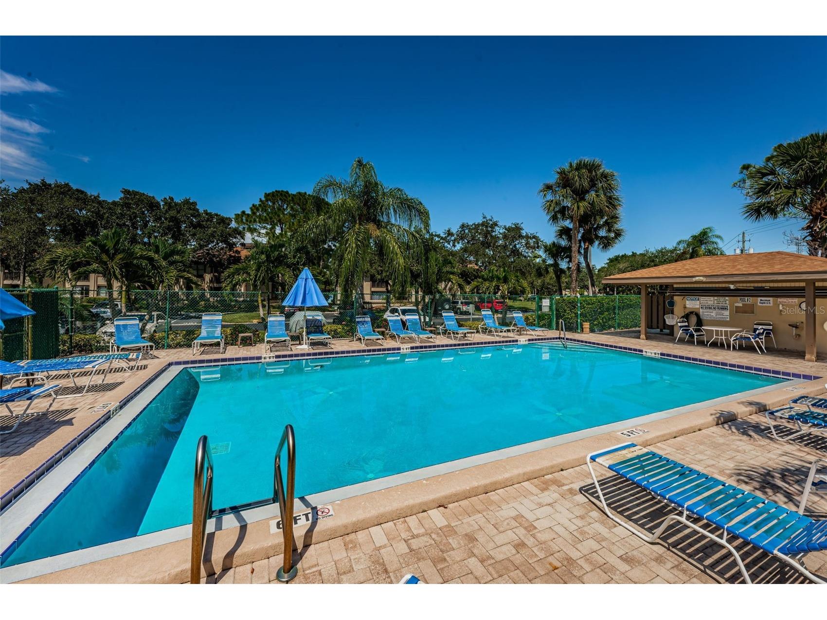 124 Woodlake Wynde #0 Oldsmar FL 34677 TB8523772 image35