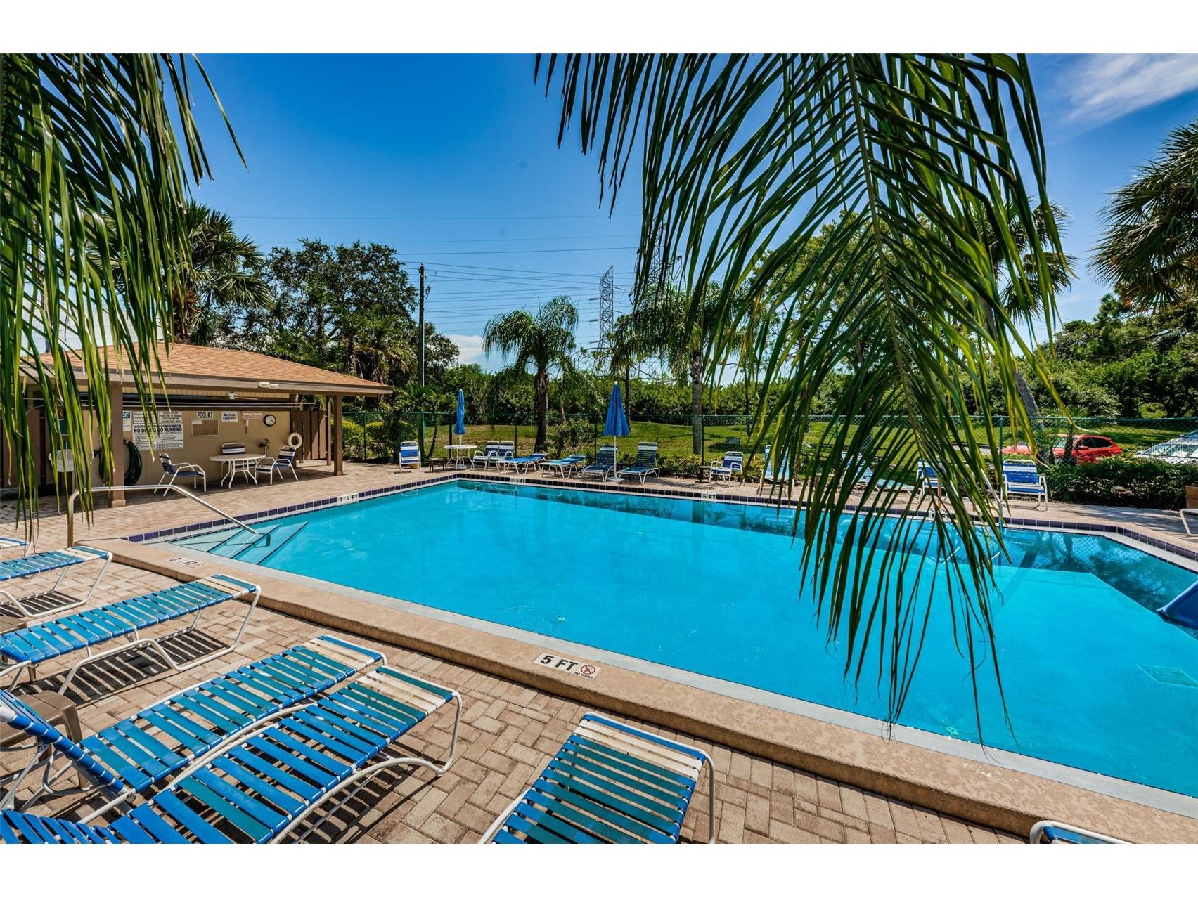 124 Woodlake Wynde #0 Oldsmar FL 34677 TB8523772 image36