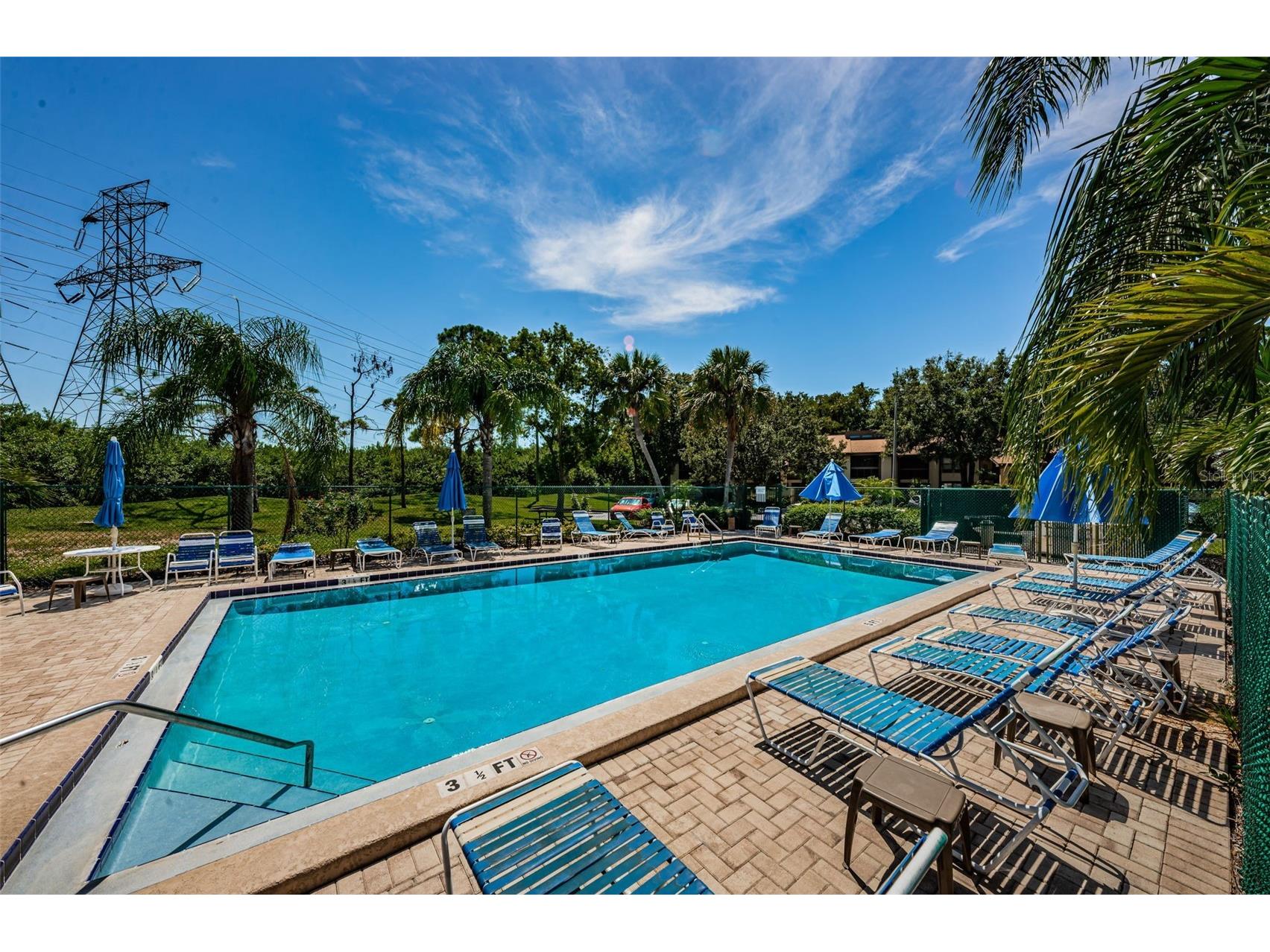 124 Woodlake Wynde #0 Oldsmar FL 34677 TB8523772 image37