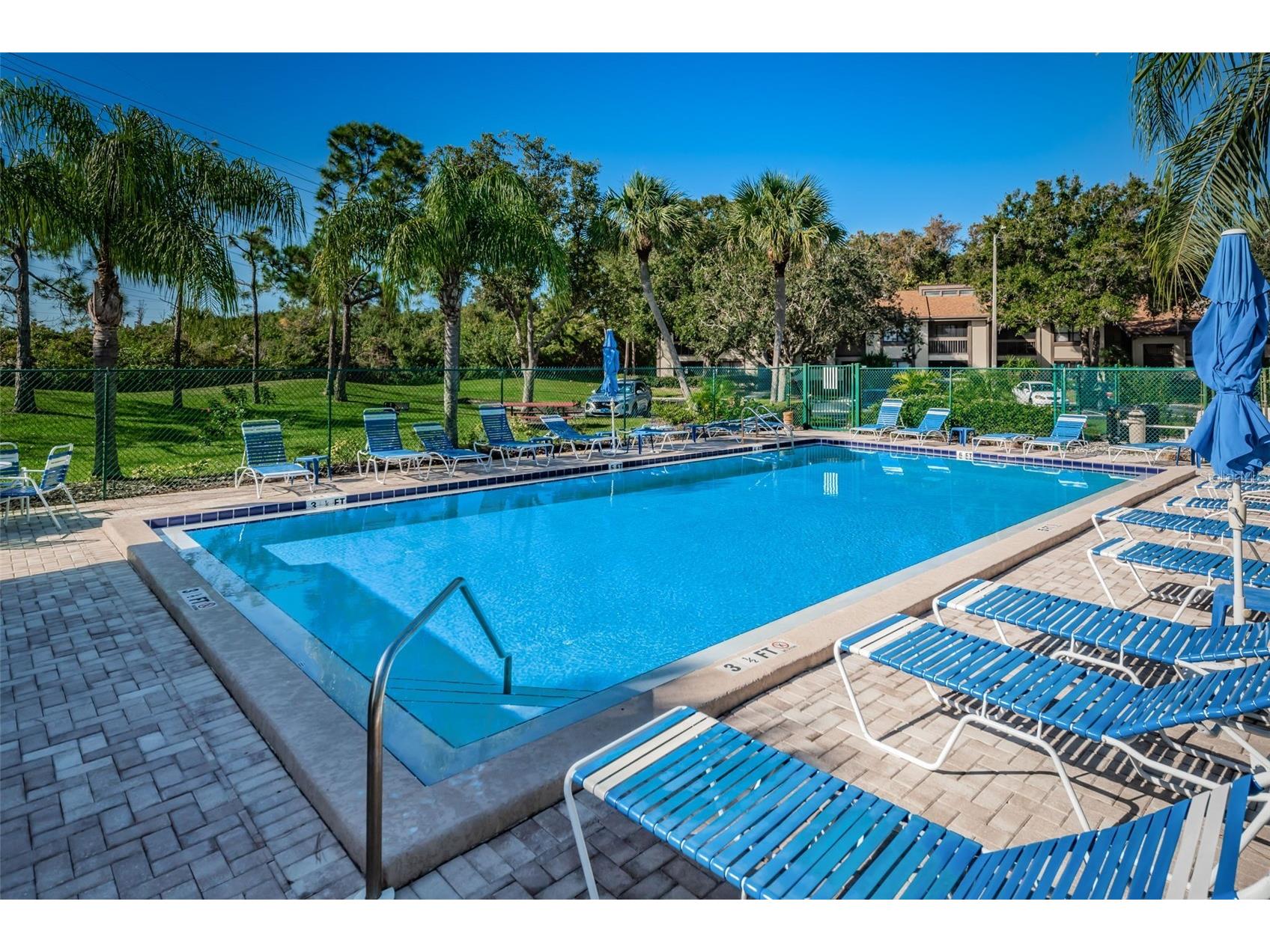124 Woodlake Wynde #0 Oldsmar FL 34677 TB8523772 image39