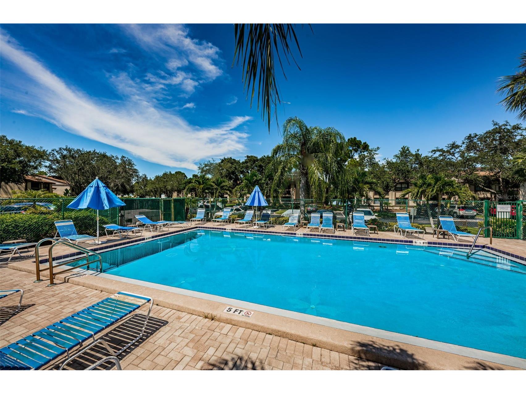 124 Woodlake Wynde #0 Oldsmar FL 34677 TB8523772 image40