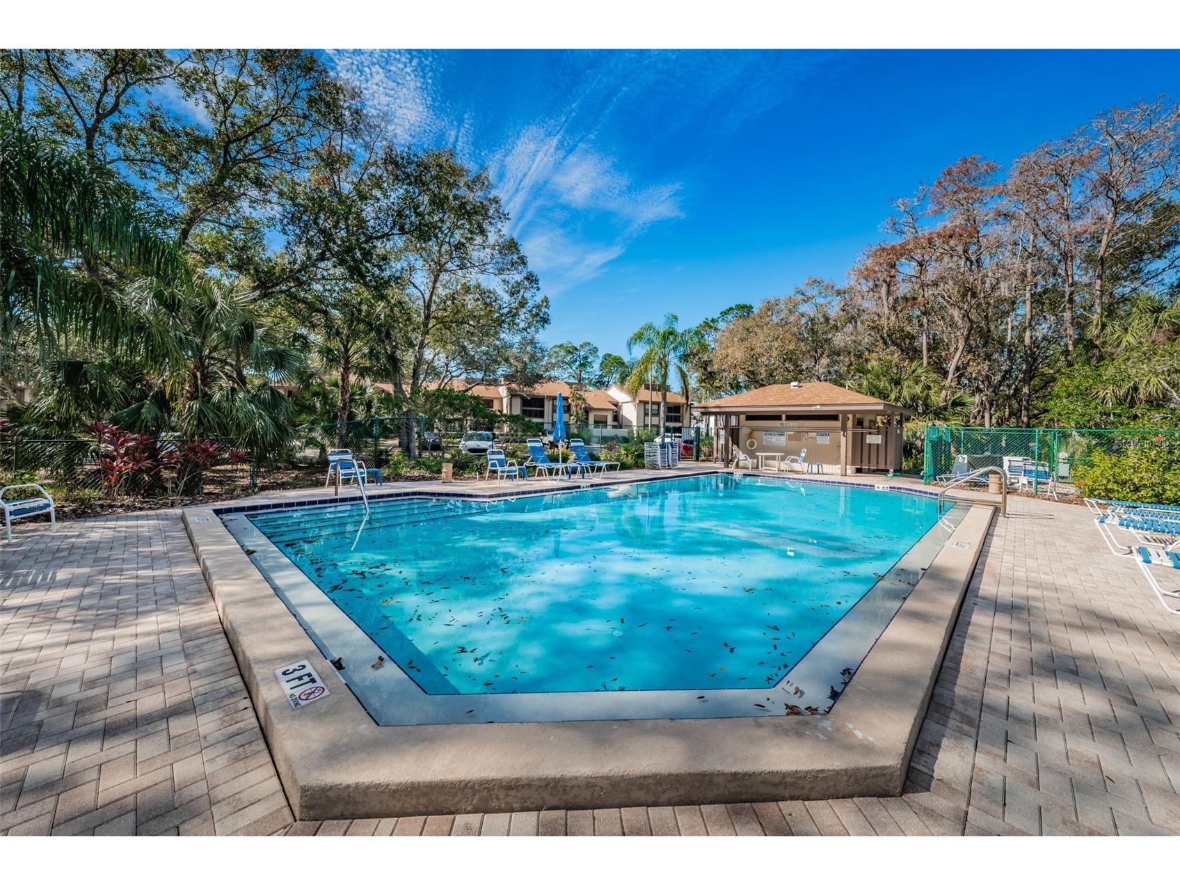 124 Woodlake Wynde #0 Oldsmar FL 34677 TB8523772 image43
