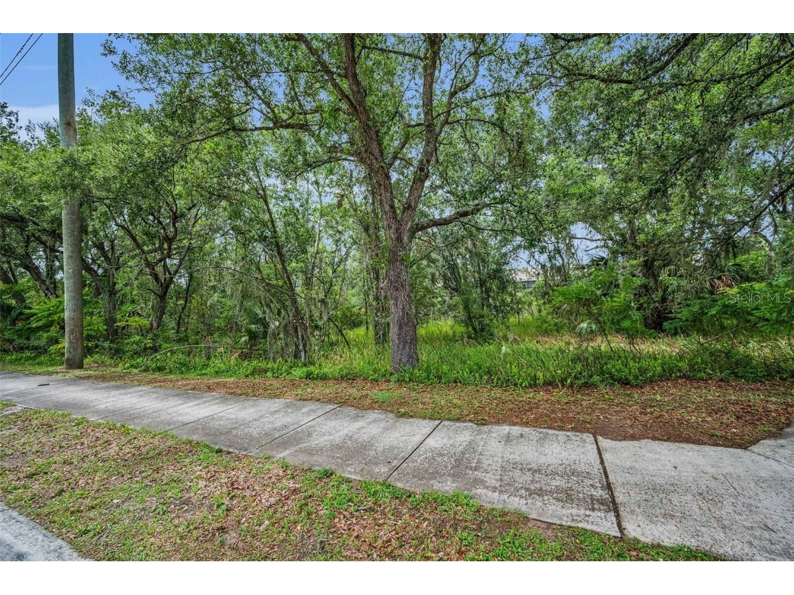 1240 & 1244 Bloomingdale Avenue Valrico FL 33596 TB8395014 image10