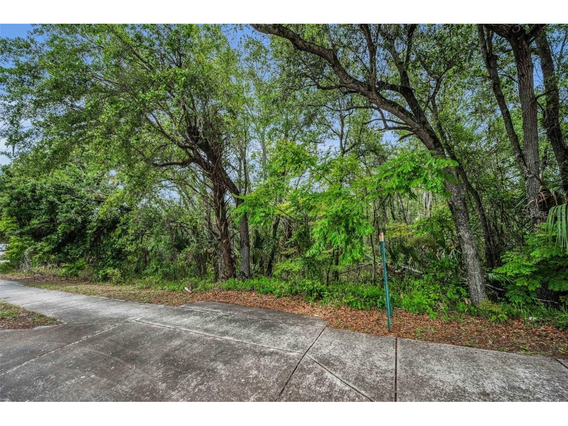 1240 & 1244 Bloomingdale Avenue Valrico FL 33596 TB8395014 image11