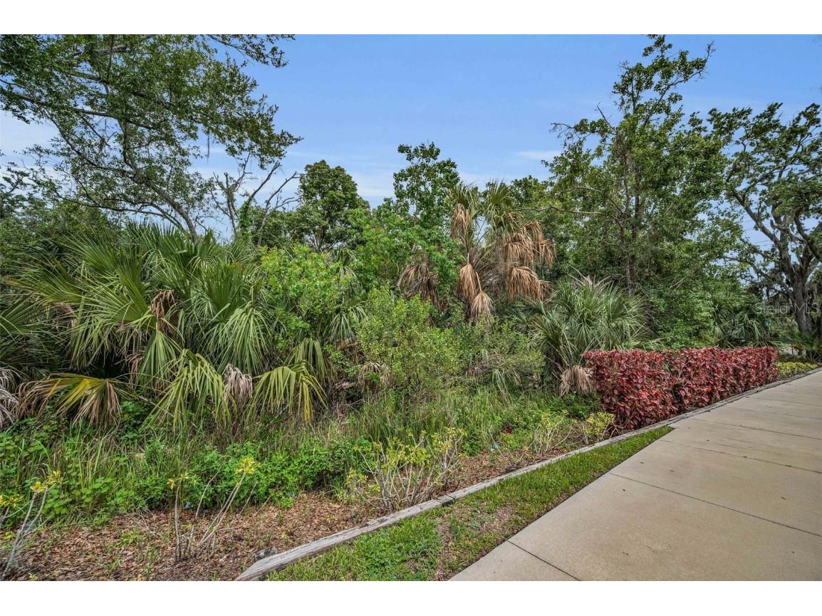 1240 & 1244 Bloomingdale Avenue Valrico FL 33596 TB8395014 image8