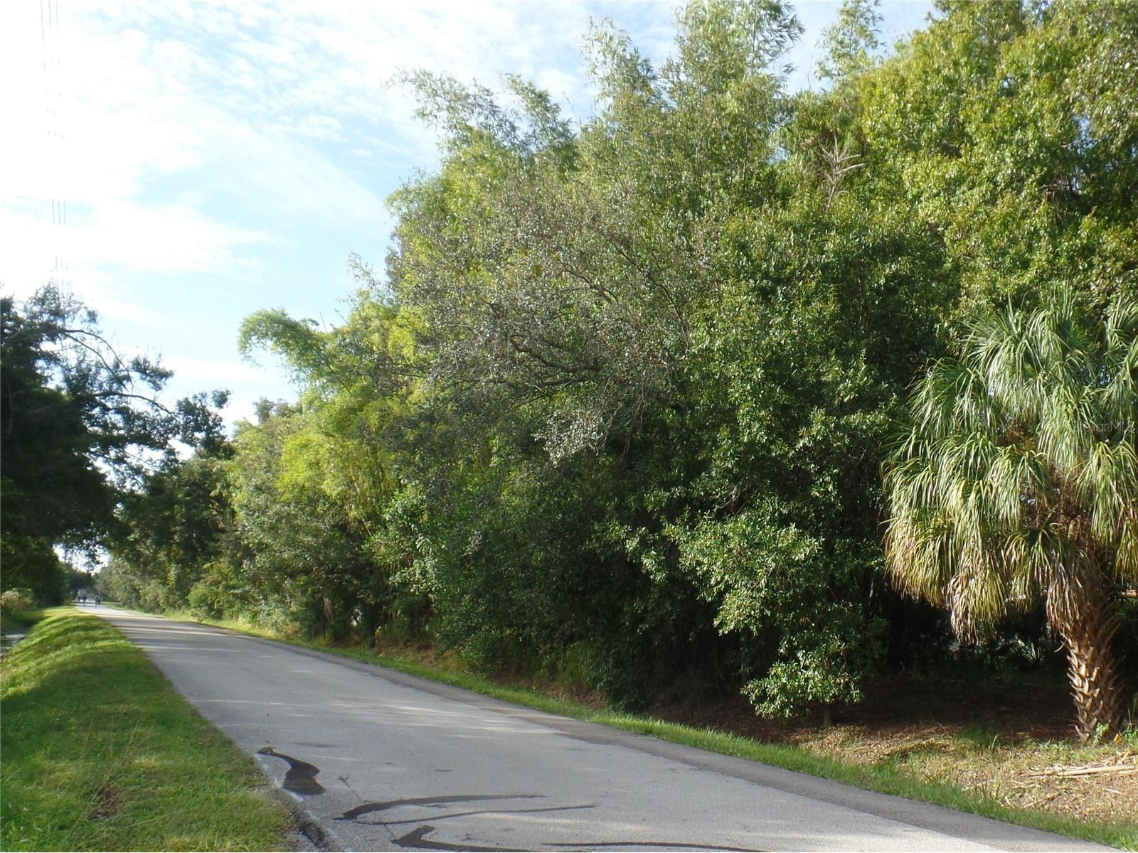 1240 70th Street N #7 Saint Petersburg FL 33710 TB8511549 image14
