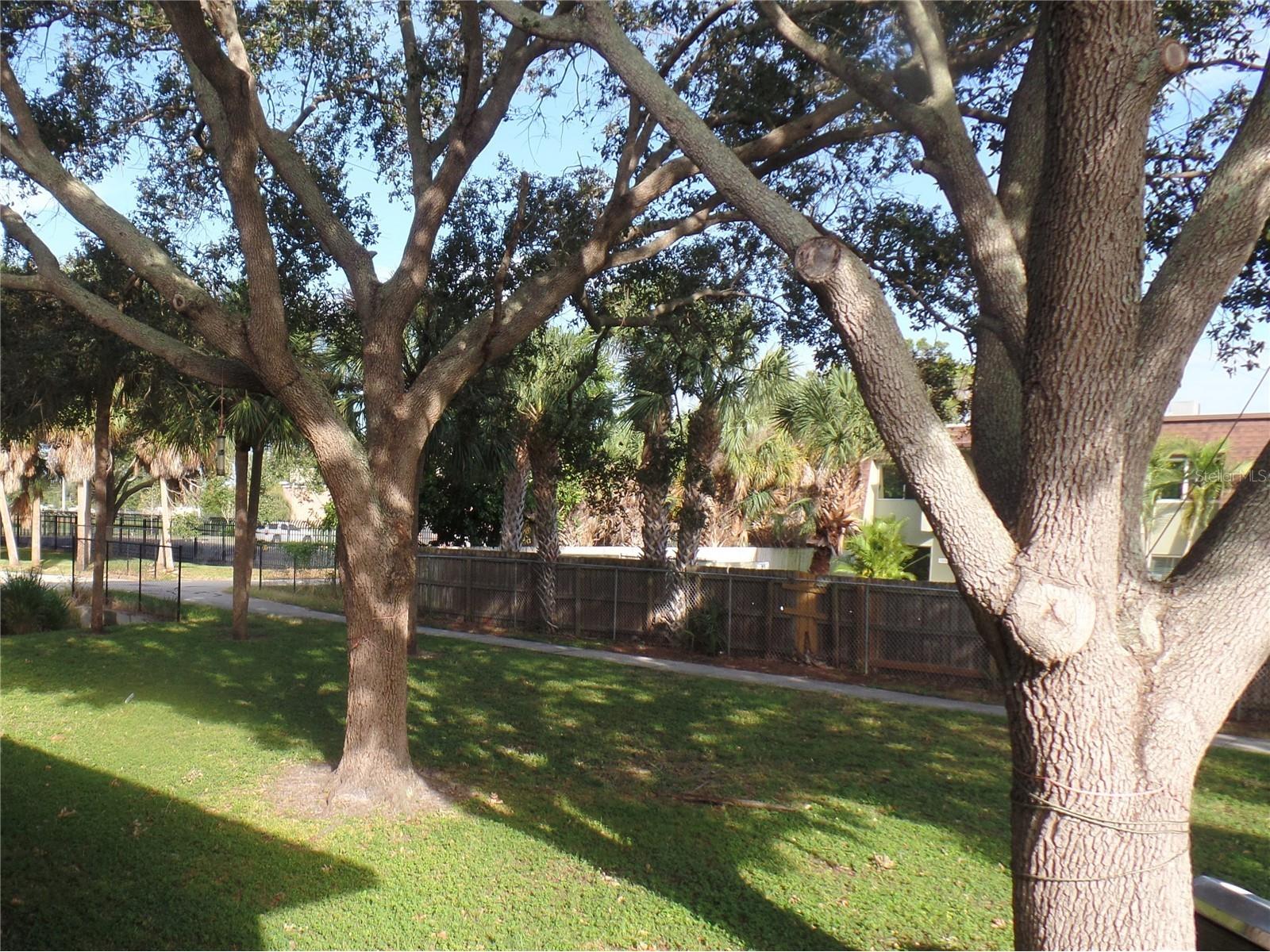 1240 70th Street N #7 Saint Petersburg FL 33710 TB8511549 image16