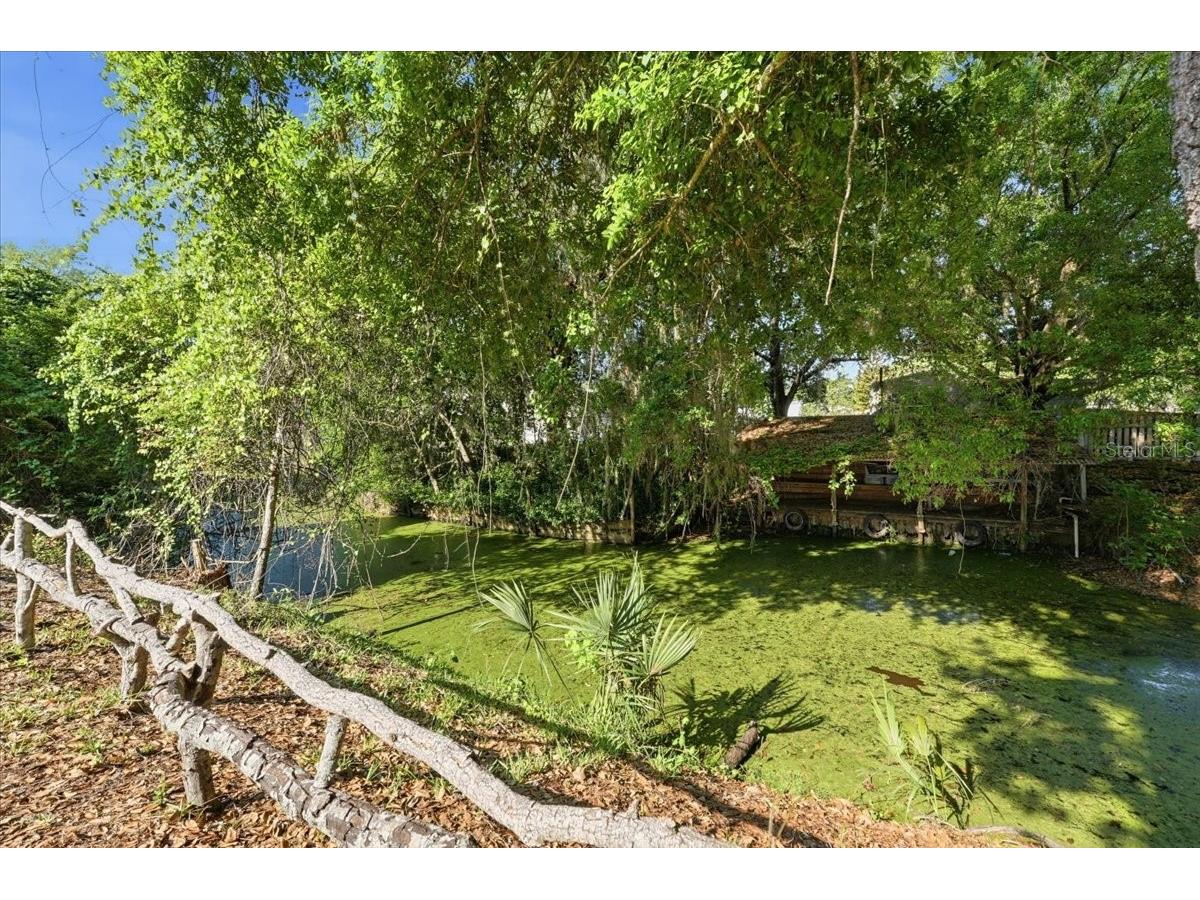 1240 Alligator Alley Haines City FL 33844 - CANALS OF LAKE MARION S5146512 image42