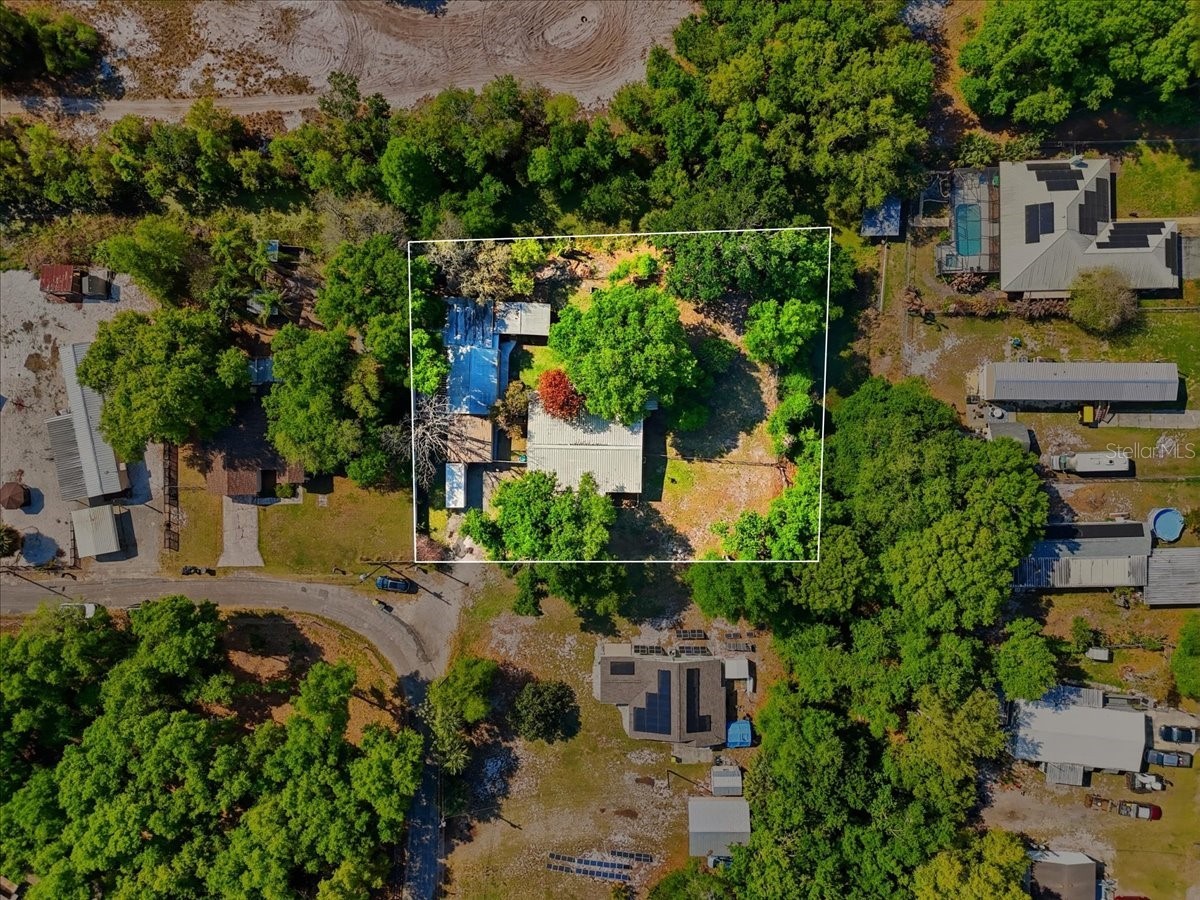 1240 Alligator Alley Haines City FL 33844 - CANALS OF LAKE MARION S5146512 image61