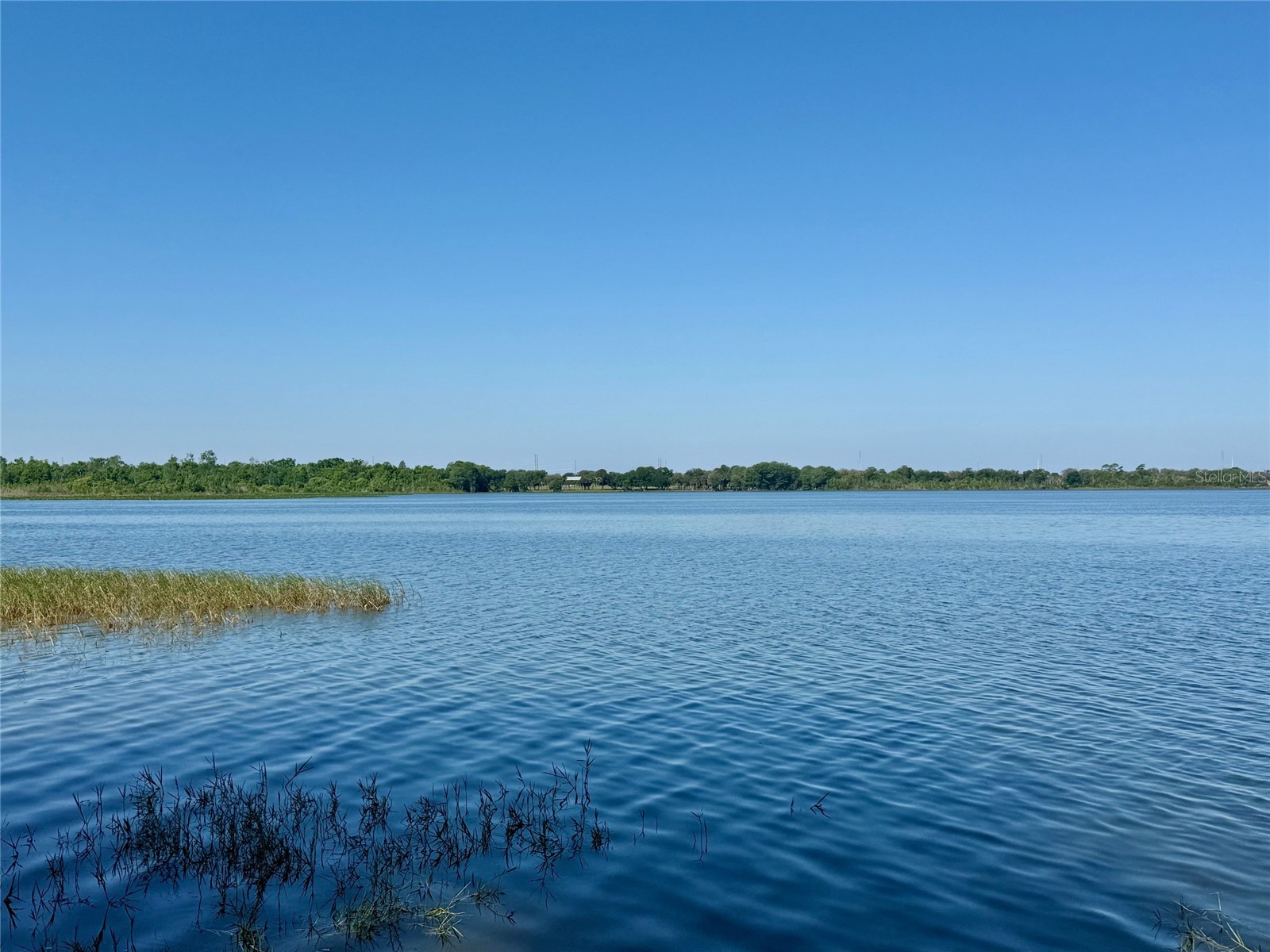 1240 Alligator Alley Haines City FL 33844 - CANALS OF LAKE MARION S5146512 image62