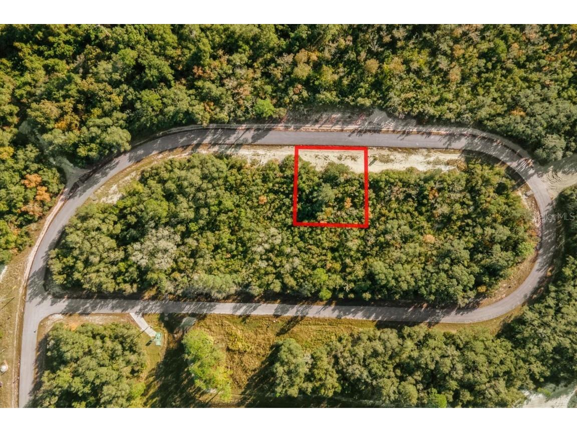 1240 Baltic Drive Poinciana FL 34759 O6080530 image1