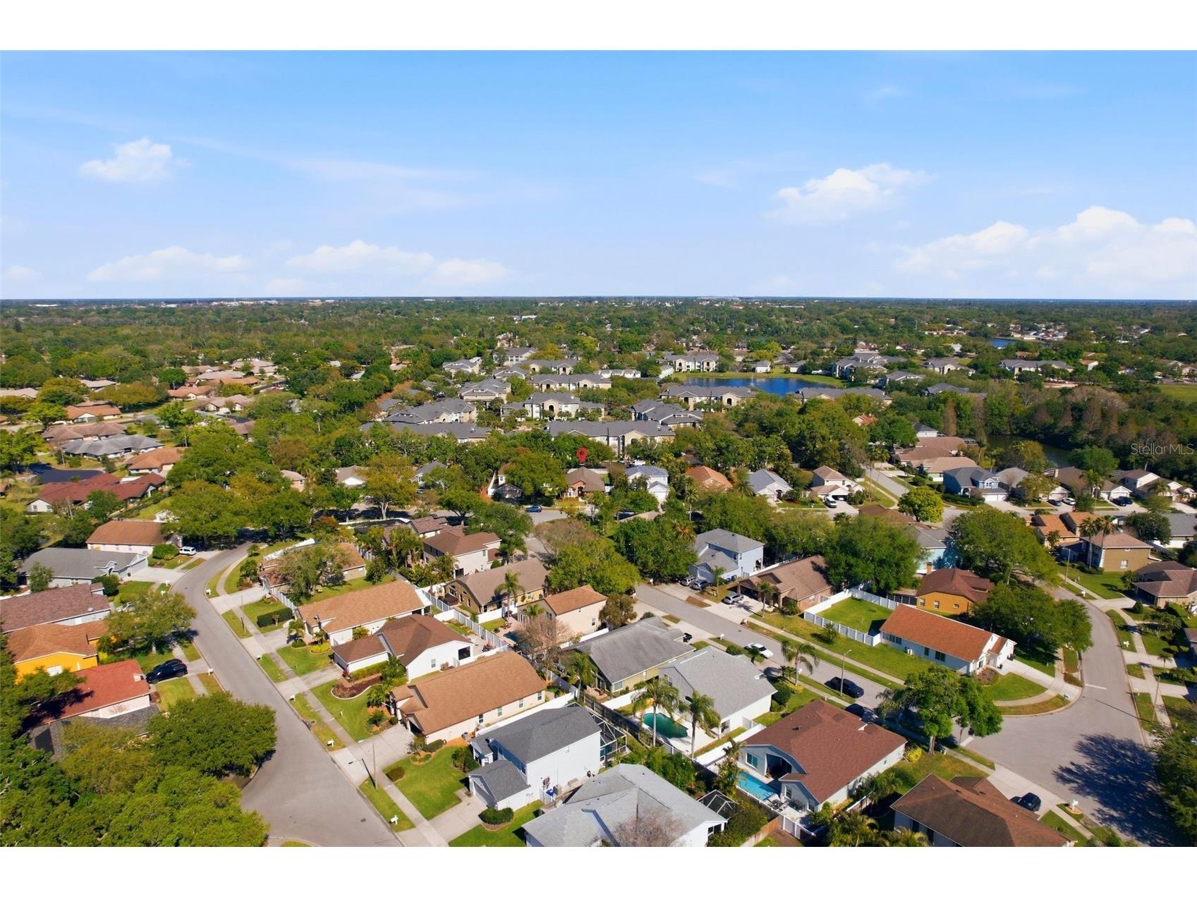 1240 Bluffs Circle Dunedin FL 34698 TB8488073 image28