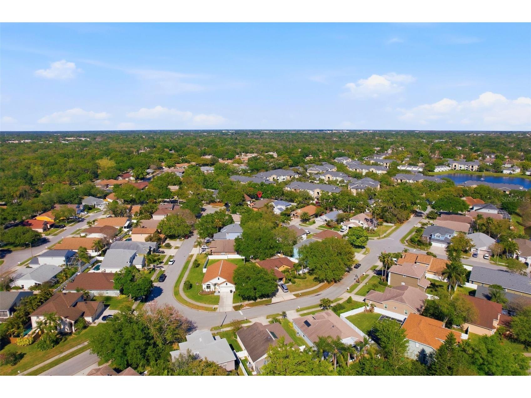 1240 Bluffs Circle Dunedin FL 34698 TB8488073 image29