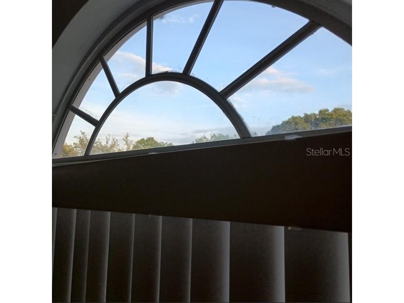 1240 Falconcrest Boulevard Apopka FL 32712 O6307370 image37